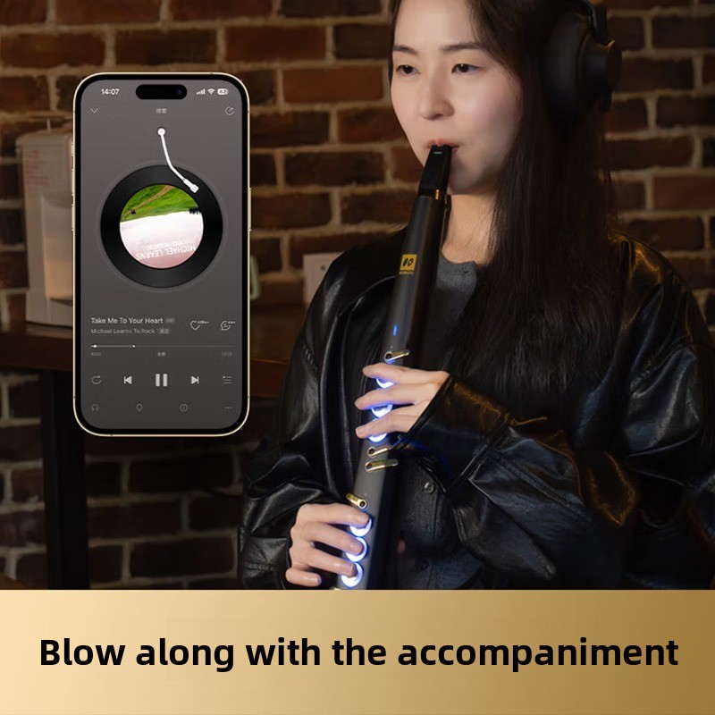 C20 true sampling, domowy, wys – Musical Instrument You Blow recenzja i cena