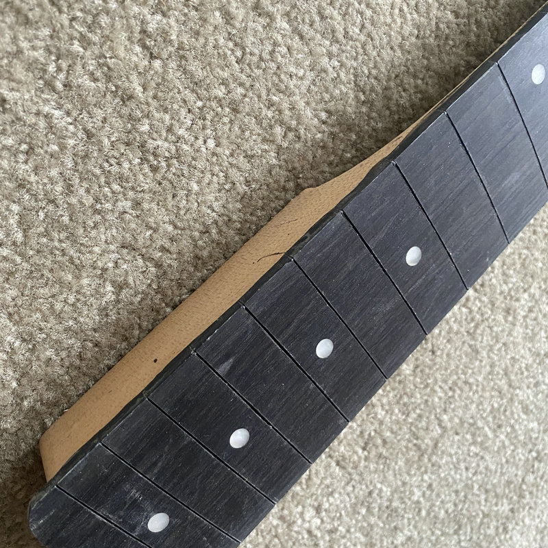 RN971 Zamówienie Indywidualne  – Bass Guitar Fretless recenzja i cena