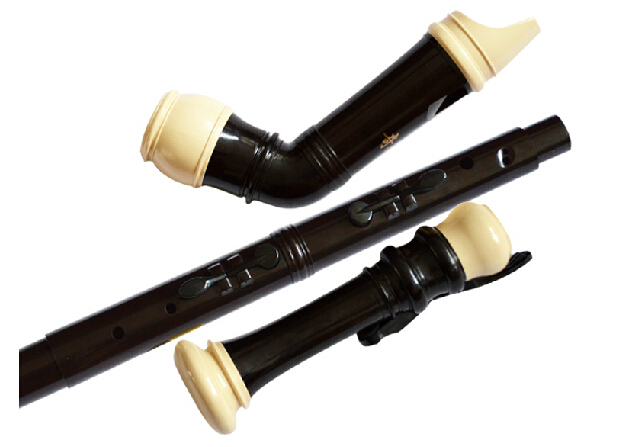Profesjonalny 8 otworów baroko – Musical Instrument Recorder recenzja i cena