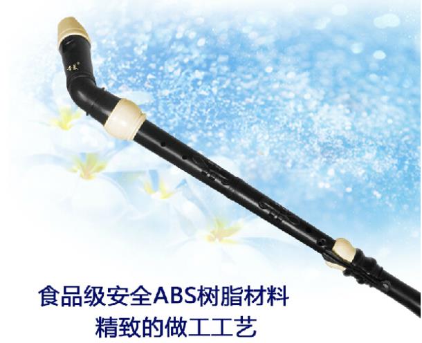 Profesjonalny 8 otworów baroko – Musical Instrument Recorder recenzja i cena