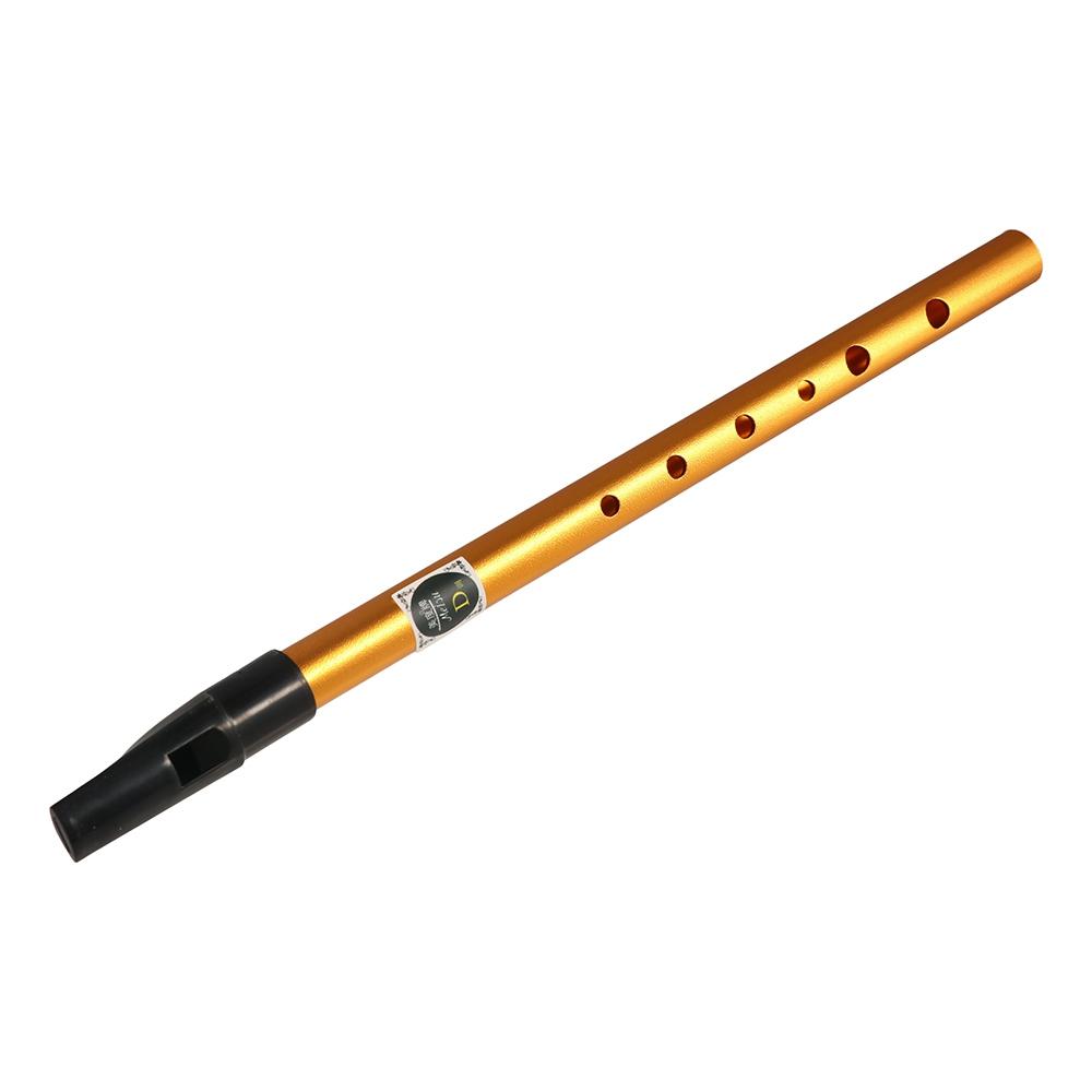 Akcesoria muzyczne 6-otworowa  – Musical Instrument Irish recenzja i cena