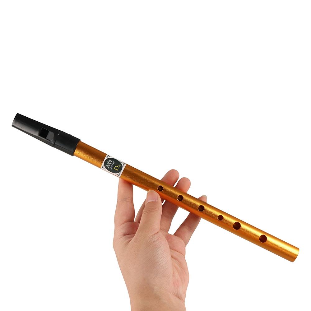 Akcesoria muzyczne 6-otworowa  – Musical Instrument Irish recenzja i cena